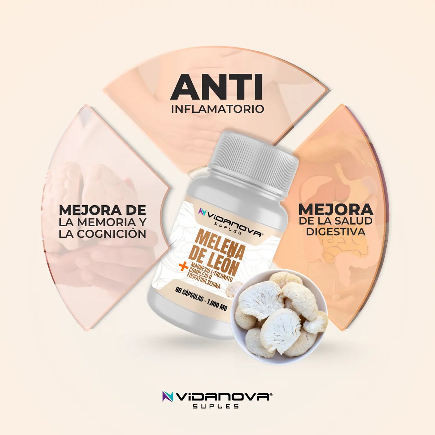Melena de León Fortificada ™
