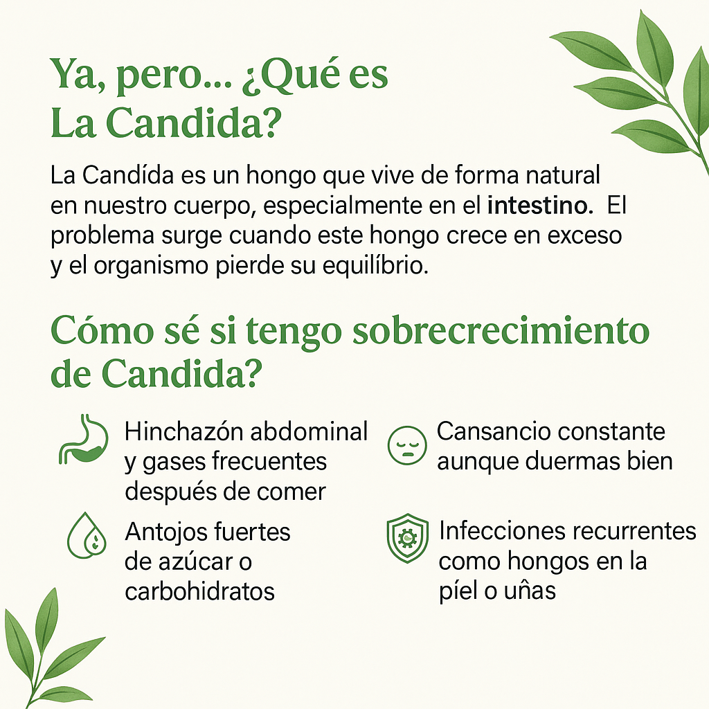 Encabezado