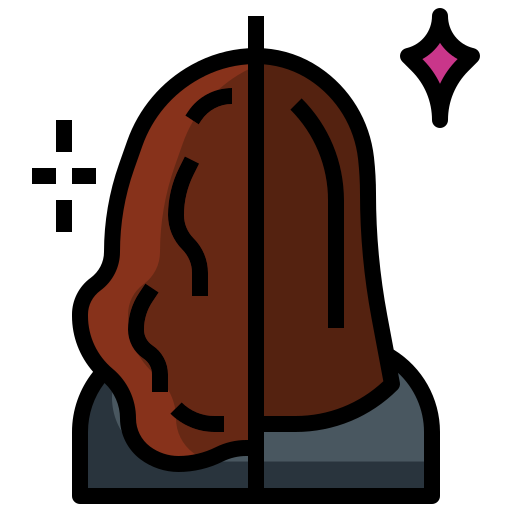 icon